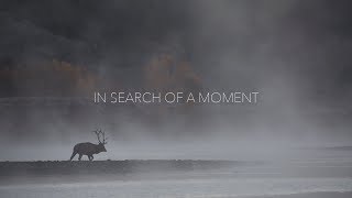 Обложка In Search Of A Moment Jake Davis Скачать In Search Of A Moment Jake Davis