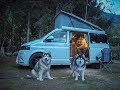 VW T5 camper van touring with malamutes