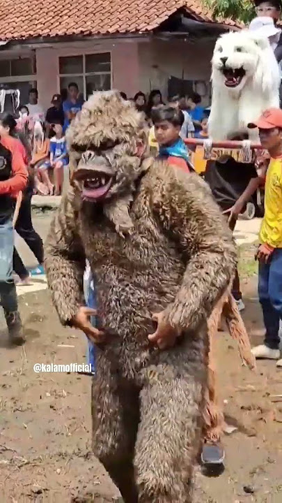 Cara memakai kostum Monyet / Grandong MP yang lagi viral