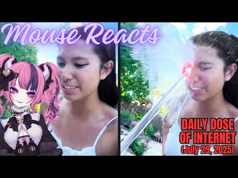 Mouse Reacts to Daily Dose of Internet: She Used 0% of Her Brain (July 29, 2025)