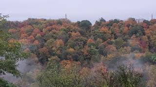 Colors Of Fall In The Northern Panhandle Of West Virginia Hills