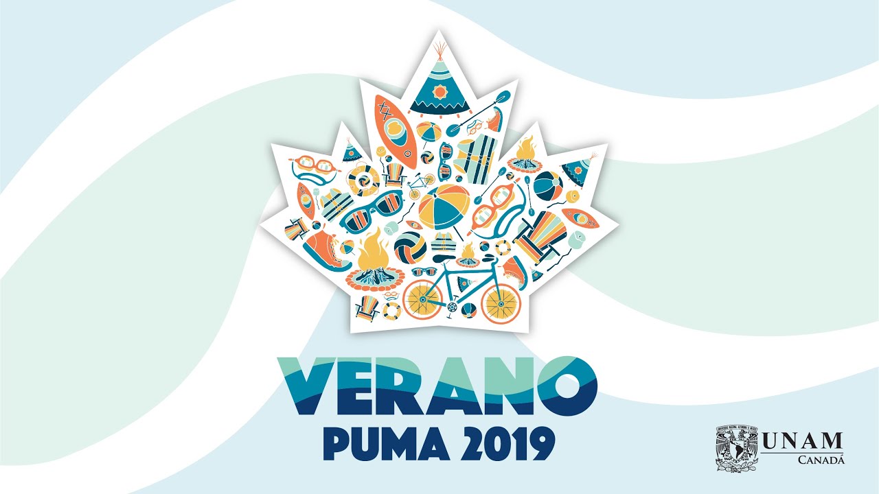 verano puma