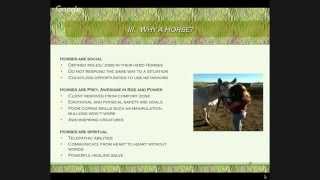 Equine Therapy Webinar