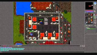 New Tibia OT Server