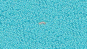 Snake.io 100,000+ Score Epic Snake io Best Gameplay!