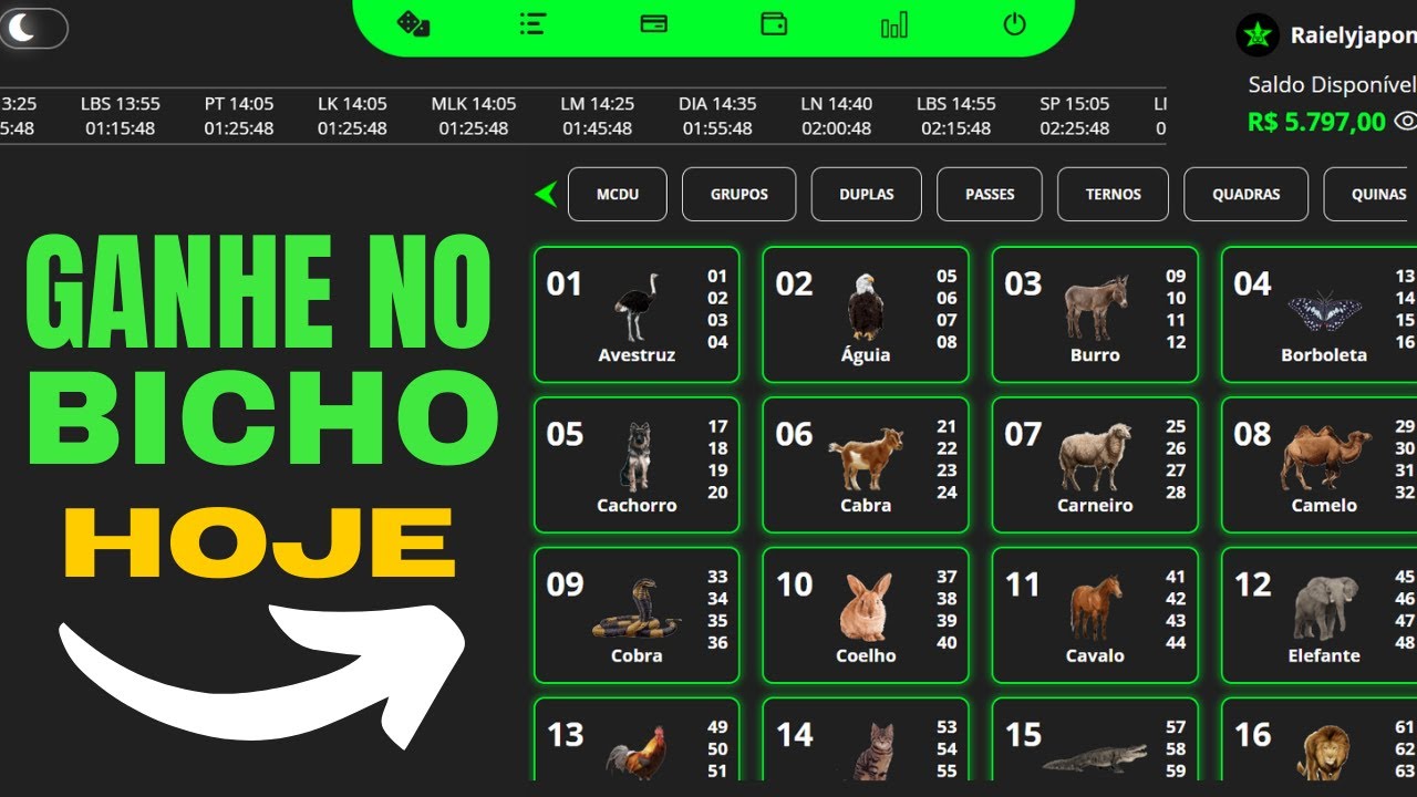 Use Isso e Ganhe Hoje - Como Ganhar No Jogo Do Bicho - Bicho Stars ...