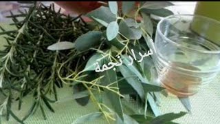محلول جباار بالأعشاب لتبيض بشرة الوجه ,اليدين و الرجلين و مسح كل التجاعيد و البقع العنيدة. screenshot 4
