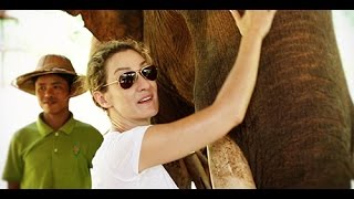 Spend the Best Day of your Life in an Elephant Retirement Home- A Broad Abroad on Yahoo Travel