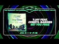 Dnzf1686  tjay feat cheryl barnes  set you free official dnz records