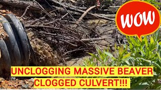 UNCLOGGING MASSIVE BEAVER CLOG WITH DAM BUSTING TOOL!! 05/2024