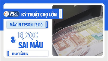 Khắc phục lỗi máy in Epson 3110 - Bản in bị sọc - Sai màu