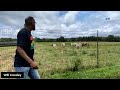 Live on the Piney Woods Farm