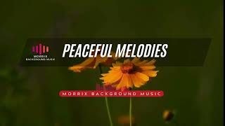 Piano Solo - MORRIX BACKGROUND MUSIC - Peaceful Melodies