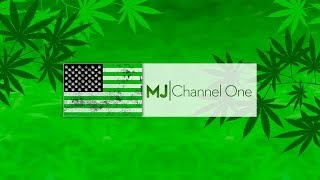Marijuana Channel One Presents Wslcb I-502 Public Hearing Slide Show