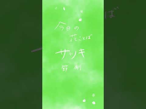 サツキ｜花ことば「節制」　朝に届くやさしい花ことば
