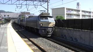 ゼロロク EF66 33号機 1055レ 貨物列車 平成25年9月25日撮影