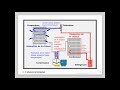 Leçon N°9 : Le circuit frigorifique -  découverte