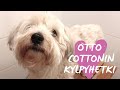 Otto Cottonin rento kylpyhetki hauskan päivän jälkeen