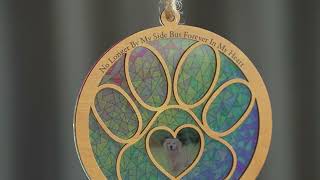 Pet Memorial Suncatcher Ornament - Best Sympathy Gift for Pet Loss