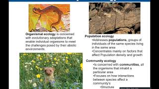 Chapter 34 Ecology