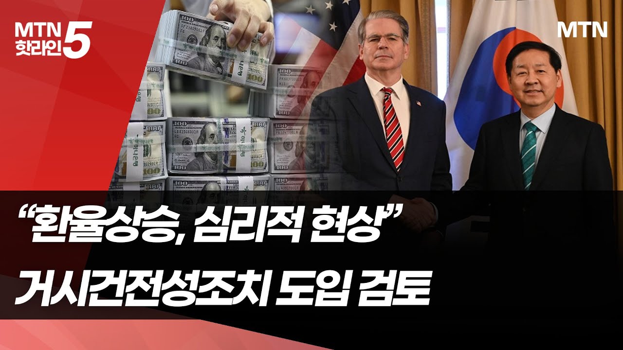 "과도한 고환율은 자기실현적 현상...현실과 괴리" / 머니투데이방송 (뉴스)