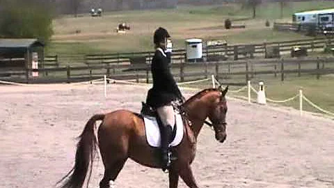 Allison Eastman-Lawler Dressage @ Pine Top HT