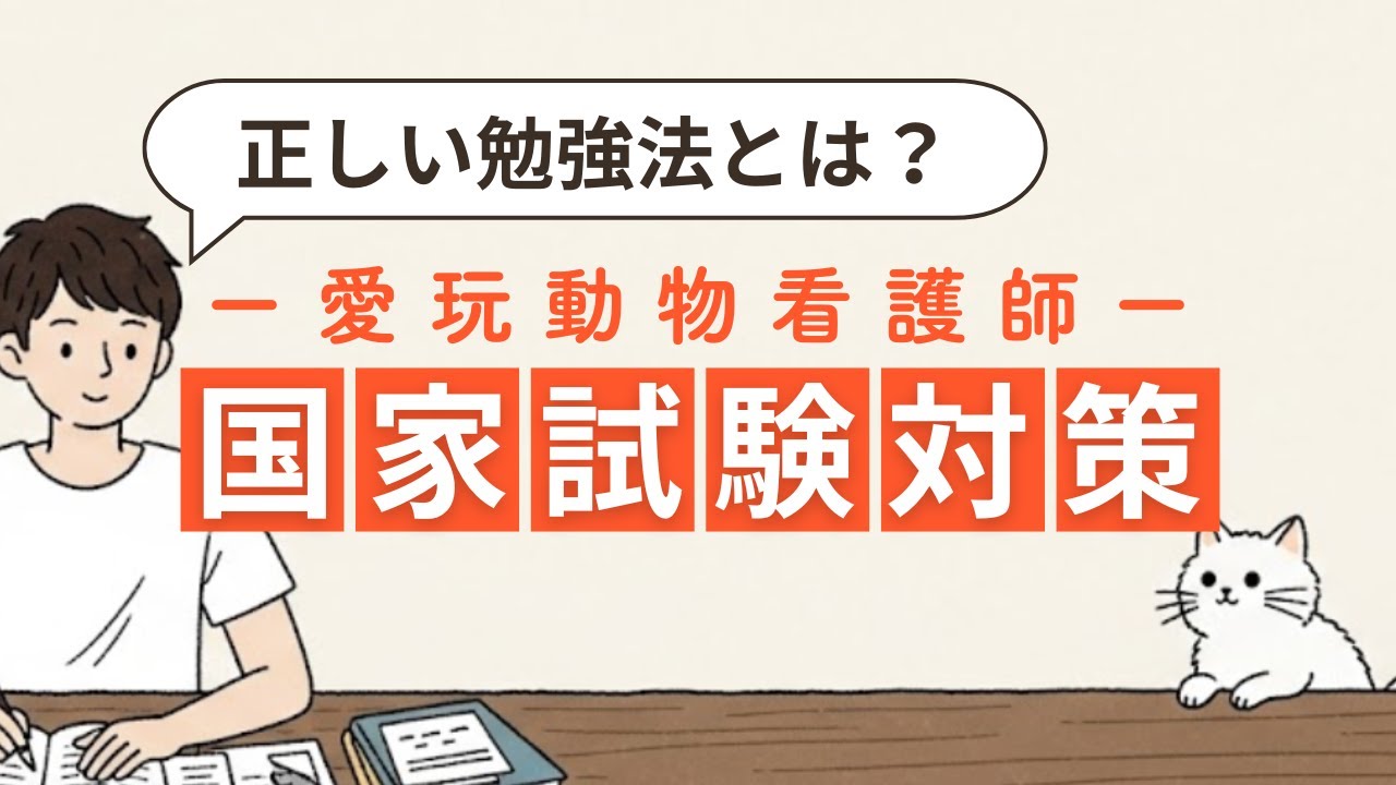 📌 愛玩動物看護師の国家試験、どう勉強するのが正解？📚—合格する人が