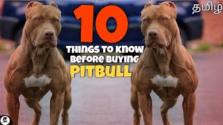 10 things we should know before buying American Pitbull Terrier | dangerous dog | தமிழ்