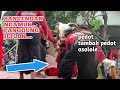 Panggunge jeplok  banteng suro mayangkoro original live papar ags pro