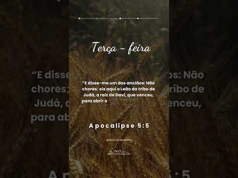 Versículo do Dia