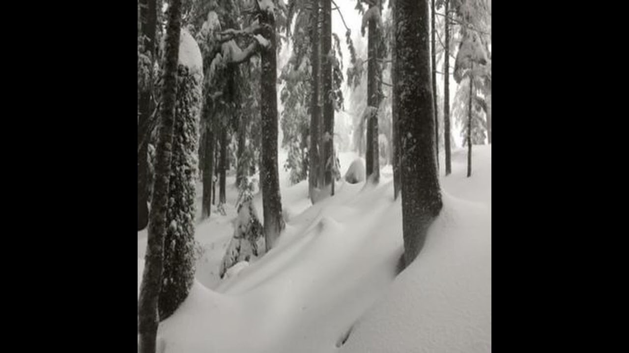 ch2rms, blackwinterwells, tropes - Slander (prod. babyesko)