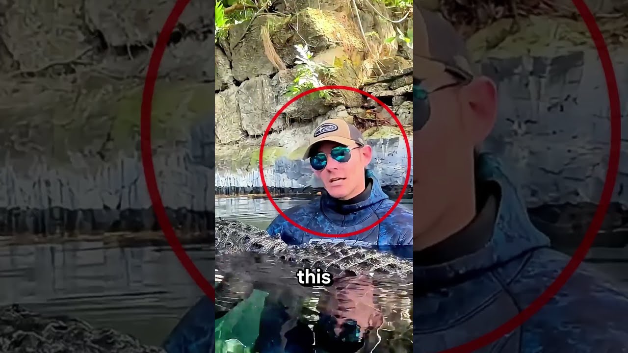 You're Wrong About Alligators #shorts #wildlife
