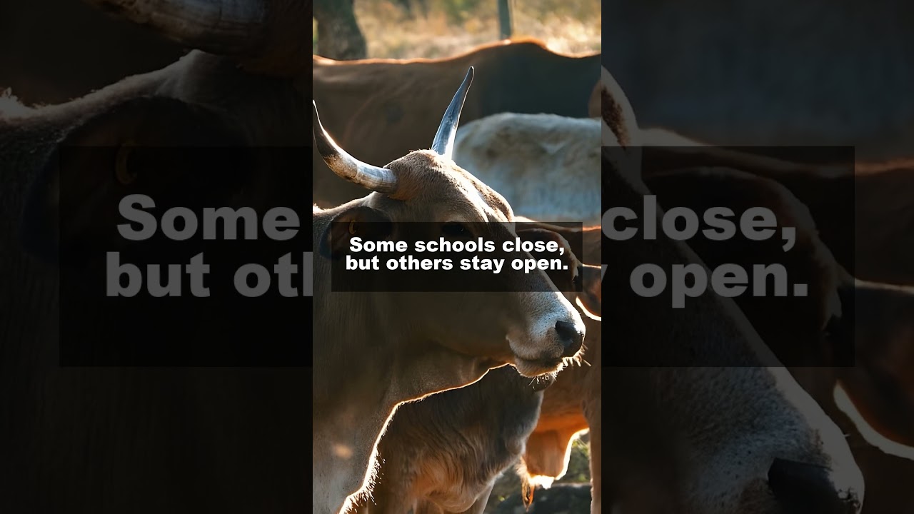 Is Today a Federal Holiday? Banks & Mail Explained