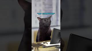 “My Computer!” 😭 (CAT MEMES🐈) @SpeedMcQueen #shorts
