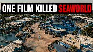 SeaWorld Is Still Dying — And One Documentary Did This