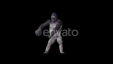 Gorilla The Floss Dance | Motion Graphics - Envato elements