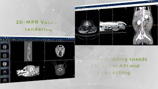 Keystone Omni | Veterinary Image Management Software