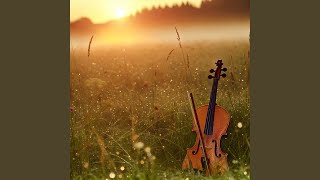 Harmony in Silence
