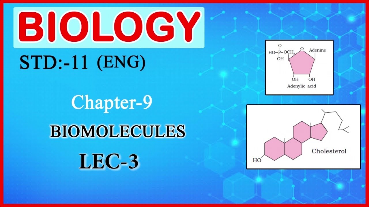 STD 11 CHAP 9 LEC 7 - BY UMANGSIR