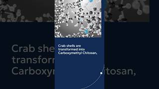 Crab Shells Skincare Secret