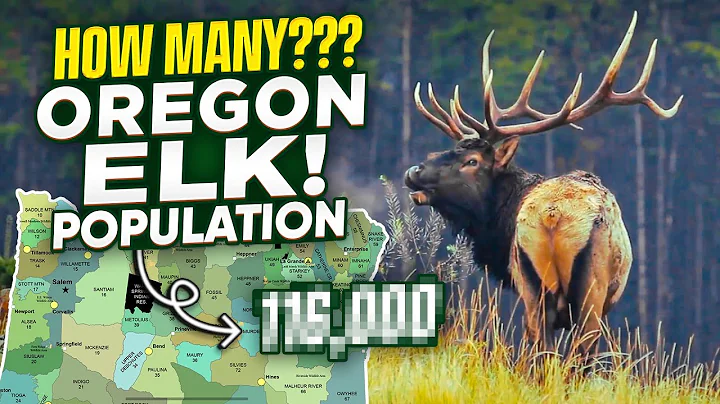 Oregon Elk Population - Where to Hunt and Find Bulls | Best Units