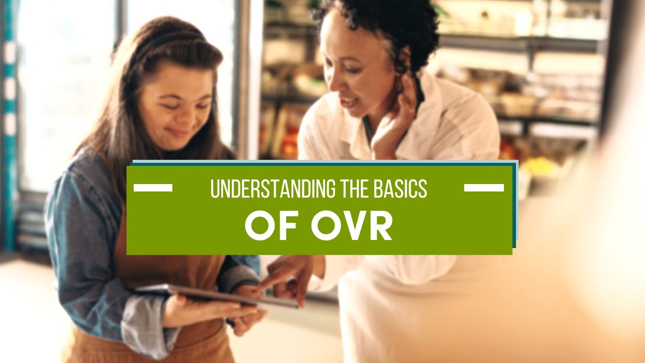 Understanding The Basics of OVR - YouTube