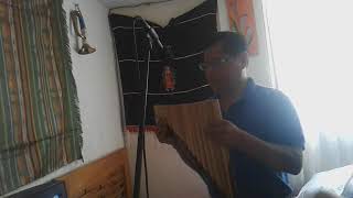 Download Lagu MARCO VINICIO PASTOR SOLITARIO Download Lagu MARCO VINICIO PASTOR SOLITARIO