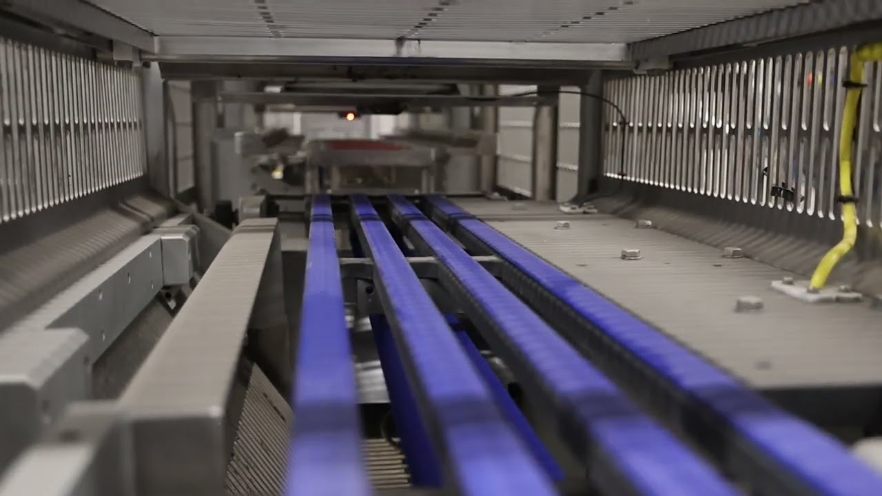 Proseal GT2 topsealer