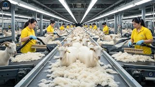 Inside the Premium Cashmere Factory - How the World’s Softest Fiber Is Crafted to Perfection