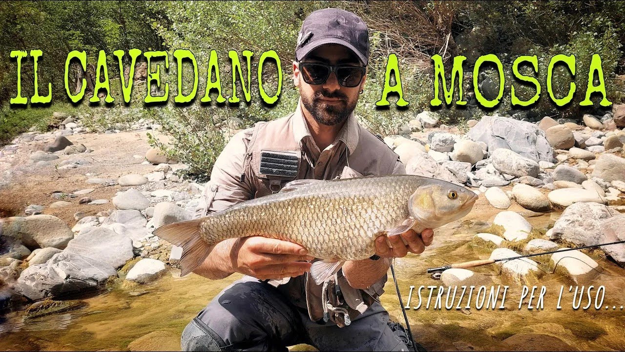 Il CAVEDANO a mosca. ISTRUZIONI per la cattura con tutte le varianti.