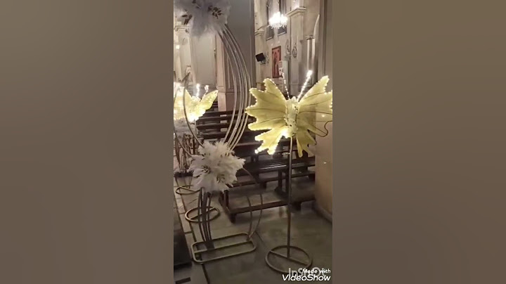 العروس فراشة طايرة بيوم عليها الباقي عليي 💗