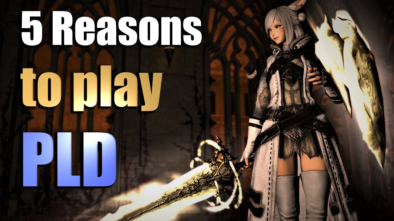 Why you should Play Paladin/Gladiator | And what other Jobs do better