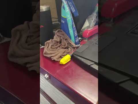 Master Tech Automotive Gresham