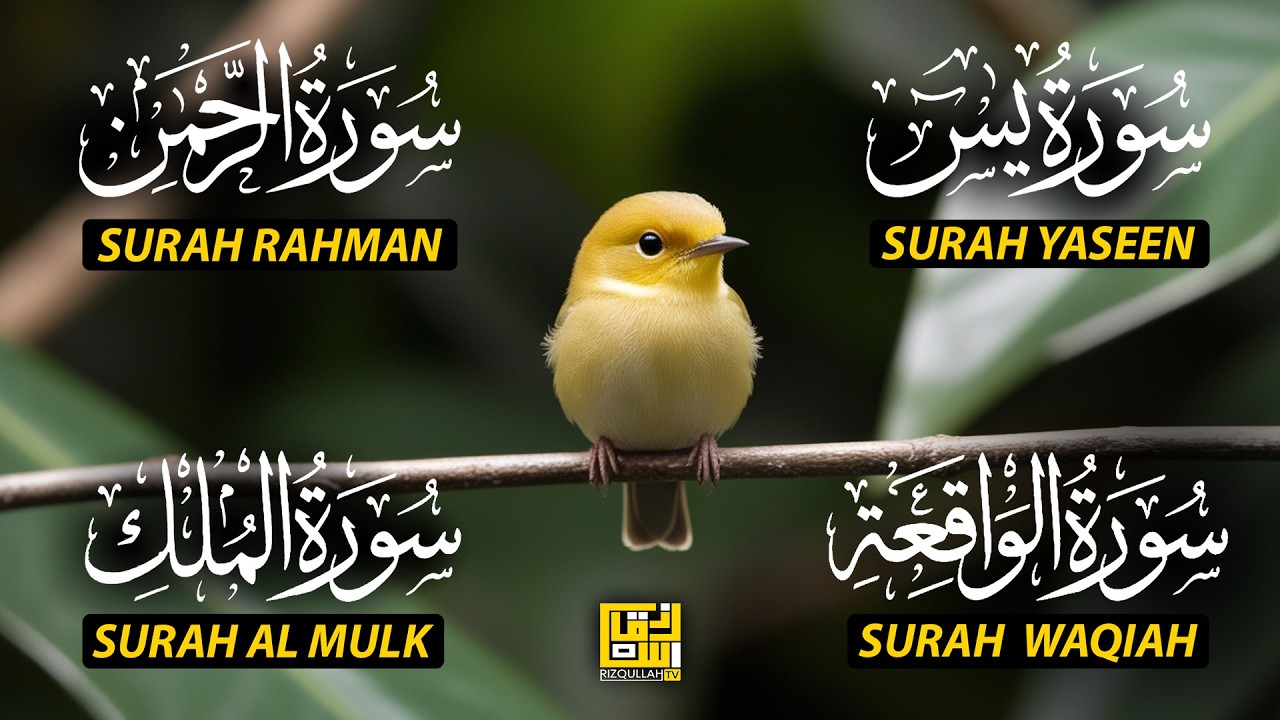 Magical Recitation Surah Yaseen (Yasin) | Surah Rahman | Surah Waqiah | Surah Mulk EP205